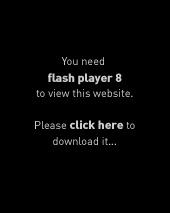 this will get flash player for you, as you cannot view the page without it